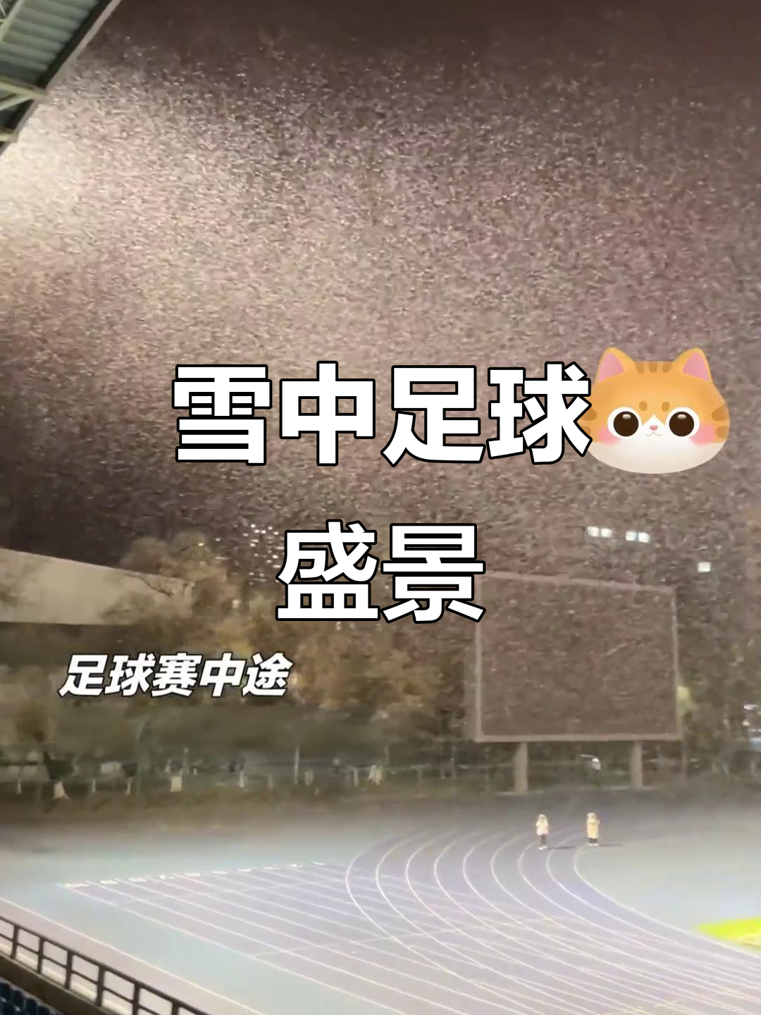 NG体育- Ning重返赛场，表现优异首场状态出色，切尔西观众沸腾！赢得满堂喝彩